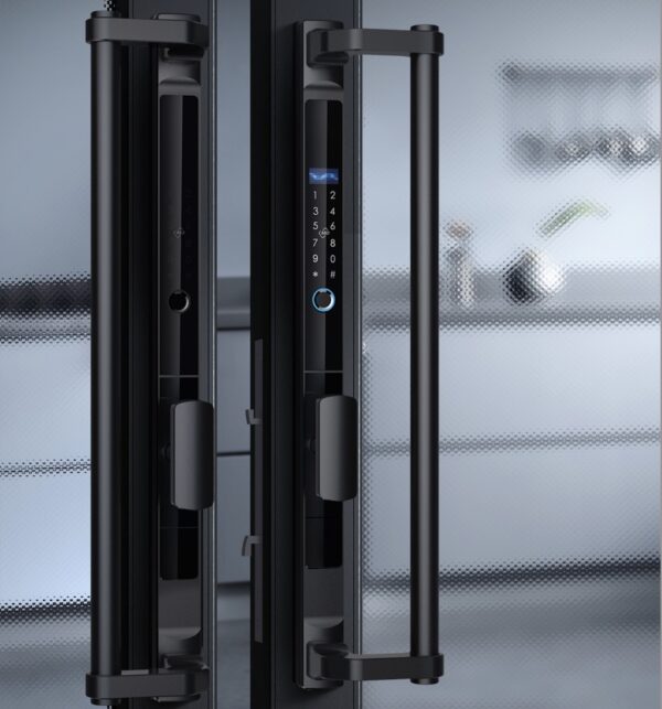 D550 Large Handle Smart Lock